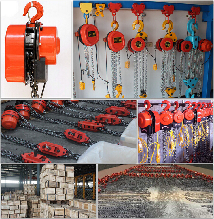 DHS環鏈電動葫蘆工廠圖